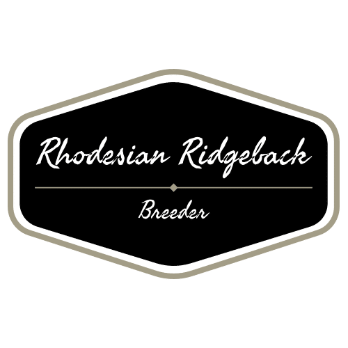 Rhodesian Ridgeback Breeder Texas