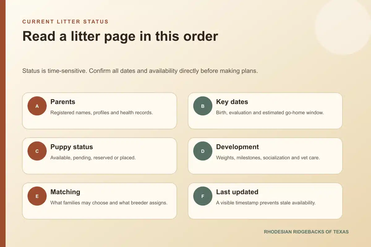 Checklist for reading a current Rhodesian Ridgeback litter page