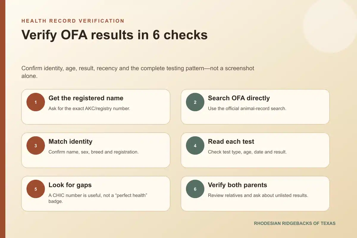 Six checks for verifying OFA health results for a Rhodesian Ridgeback
